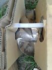 175hp Evinrude Solas Johnson Outboard 14 3 4x20 Prop