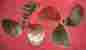 264-16ab Michigan Wheel 23 X 21 Dj Nibral Inboard Propeller Set 1 3 4 Bore