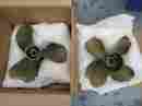 3861110 Volvo Penta T8 Ips Propeller Set