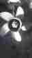 48-815758a45 Mercury Marine High Five Boat Propeller