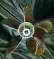 48-889972-34 Mercury 5 Blade Stainless Steel Prop