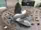 48-899004 Quicksilver Mercury Stainless Steel Propeller Laser Ii 19p