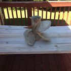 48-8m8022390 48-8m8022380 Mercury Bravo Three 21 Pitch Propellers
