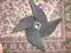 5312 Cast Iron Boat Propeller H 1-1 4 In 6 Sided Opening 15 Cross Span Vintage
