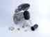 899002a46 21 Standard Mercury 13 13.625 8 Pitch Enertia 5 Brand