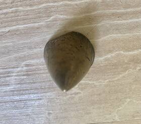 11-24493 Mercury 22506 Vintage Kg7 Kg4 Propeller Cone Bronze Prop Nut