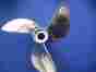 O20r3y Hill Marine Signature Semi Cleaver Propeller For Tohatsu 90 Tiller 14 X 20
