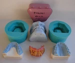 Land Of The Lost 2009 Screen Used Sean Guess Pakuni Movie Prop Teeth Molds Casts. Fixed Price $650.00.