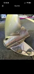 Mercury Laser Propeller 22 Pitch 3 Blade. Fixed Price $375.00.