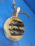 Magneto Assy. Evinrude Model 4404 Zephyr 4402 4403 4405 5.4HP. Fixed Price $85.00.