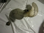 Propeller Antique Johnson 41D1 Outboard DT-37 DT-38 LT-37 LT-38. Fixed Price $31.36.
