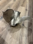 Solas 14 1/8 X 19 Rh Stainless Blade Boat Propeller Mercury 15 Spline. Fixed Price $119.99.