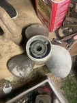 Quicksilver 48 16314 A5 17P Stainless Steel Propeller Boat Used?. Fixed Price $100.00.