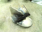Johnson/evinrude Omc Stainless Propeller 389924 Right Hand 14 1/2 Dia X 19P. Fixed Price $149.49.