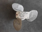 310213 Omc Johnson Evinrude Outboard Motor Propeller 14-1/4X22 Blade Rh (c). Fixed Price $39.99.