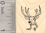 Buck Deer Wildlife Rubber Stamp, Small D25143 Wm. Fixed Price $16.00.