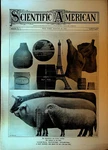 Scientific American August 24 1907 Typhonoid Boat Propeller Meat Packing. Fixed Price $24.24.